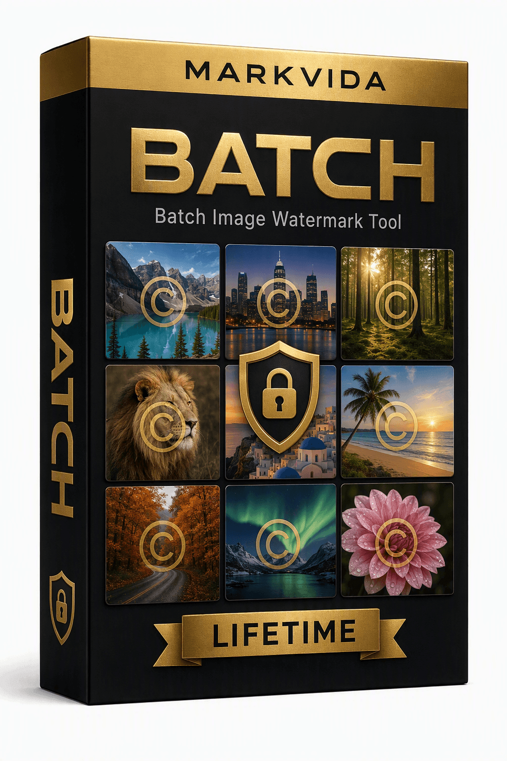 Markvida Batch lifetime license box