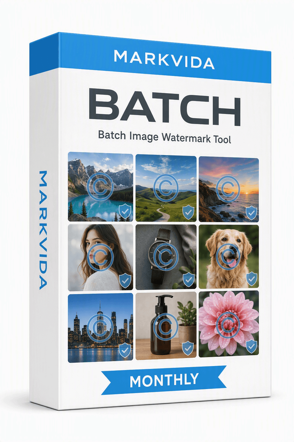 Markvida Batch monthly license box