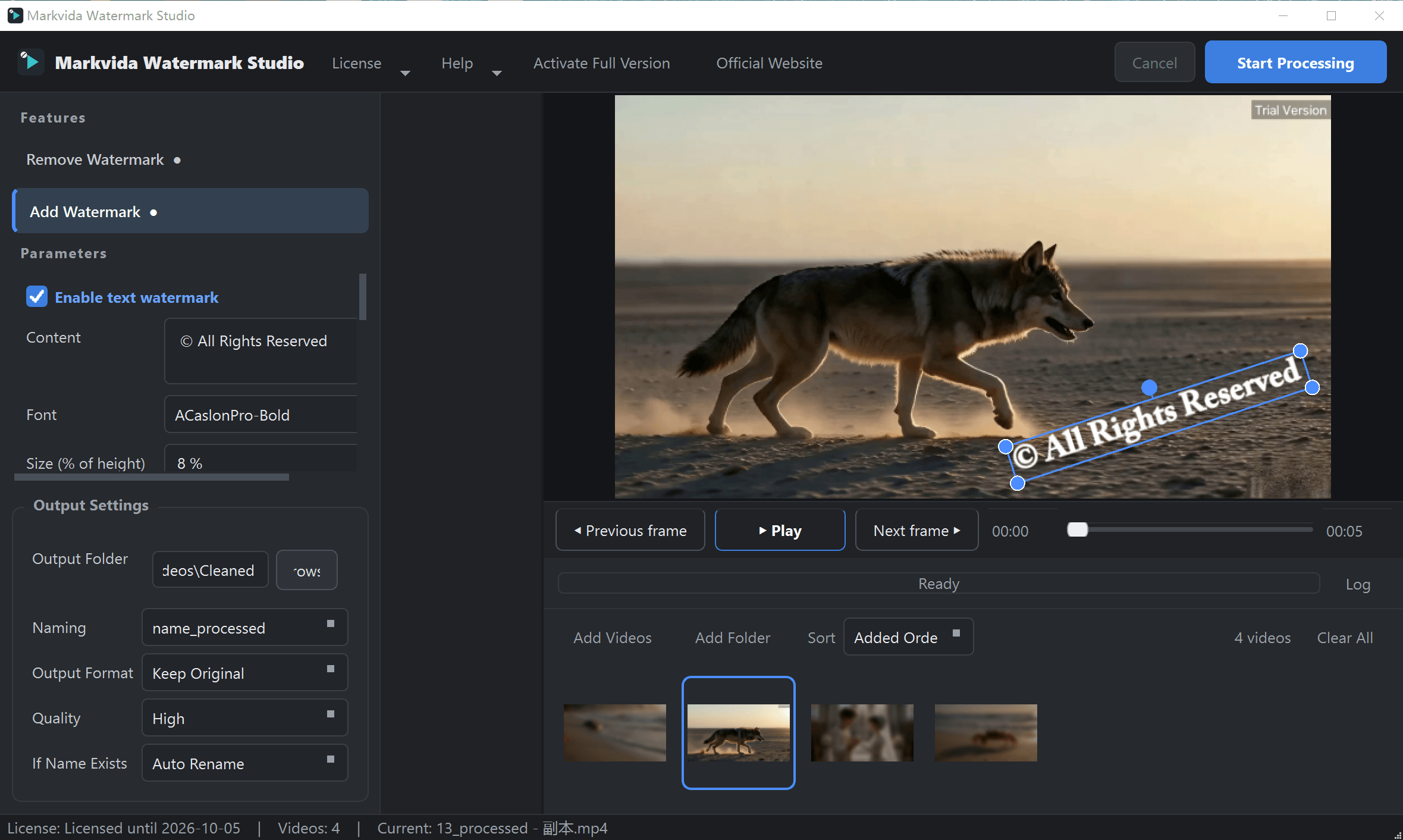 Markvida Watermark Studio editor with live preview